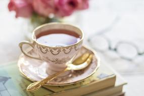 vintage cup with Tea at top of stack of books