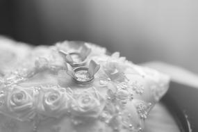 two wedding rings on a wedding pillow