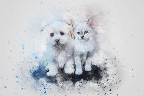cat dog art abstract drawing