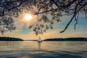 Summer Water Archipelago river