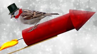 Sparrow in a hat on a red rocket