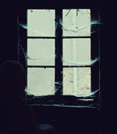 spider web on a window in an abandoned building