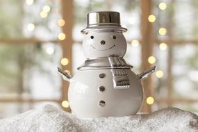 Snow Winter decor