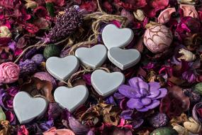 ValentineS Day Heart and Flowers