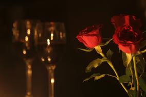 Romantic Dinner Roses