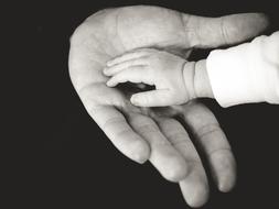 Hands Baby and person