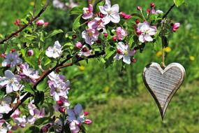 Heart decoration among the colorful flowers