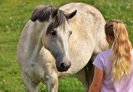 Girl Love Horse