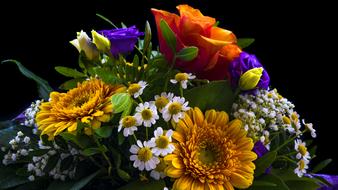 yellow gerbera, chamomile roses in a bouquet