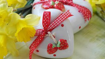 Heart Love Gift Daffodils white