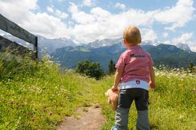 photo of a little boy with a teddy bear in an alpine meadow