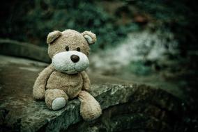 macro photo of a teddy bear on a stone bridge