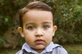 photo of a little boy with a beautiful haircut