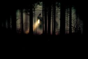 Witchâs House in dark misty Forest