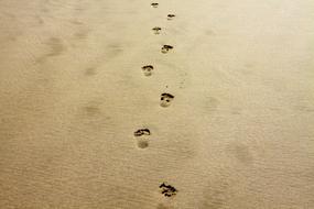 lonely footprints of a man in the sand on the coast