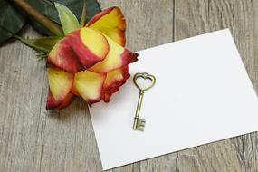 Key and rose on blank paper