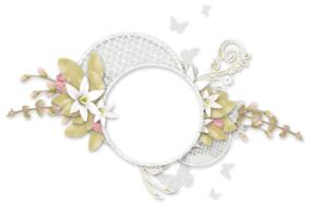 photo frame flowers