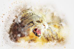 digital image of an aggressive cat