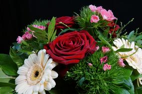 Rose Red and white gerbera Flowers