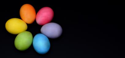 Easter Eggs Colorful flower