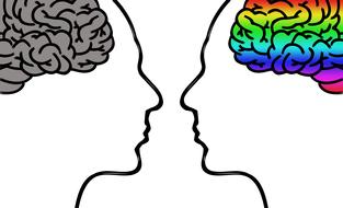 brain in heads as colorful illustration