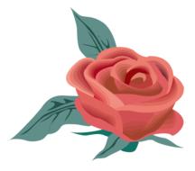 flower of rose, vintage drawing, pattern