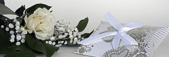 Roses Flowers and present