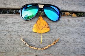 Glasses Smile Leaf