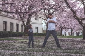 Father and Son street pink tree