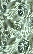 medellin leaves tropical drawing