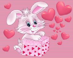 celebration gift romantic bunny hearts