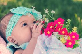 Baby Summer flowers