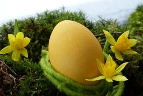 Easter Egg Yellow and Daffodils