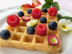 waffle with fruits