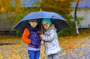 ravishing Kids under Umbrella at fall