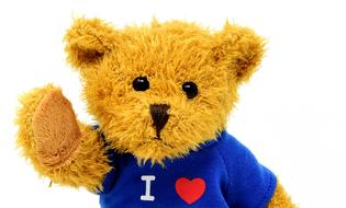 portrait of Teddy bear Cute Soft toy