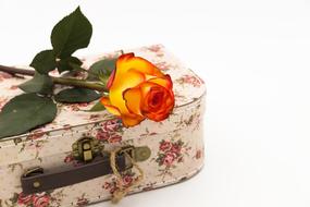 yellow Rose on handbag with vintage print