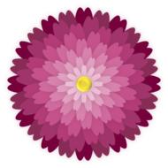 flower ornament petals graphic drawig