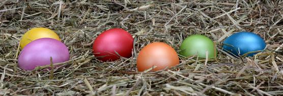 Easter Eggs dry grass