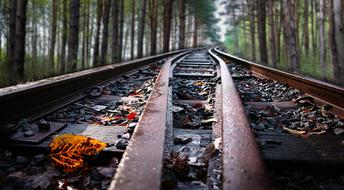 autumn on the rails