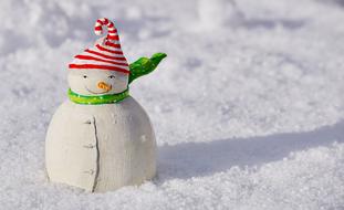 ravishing Snow Winter decors