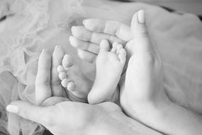 Black and white photo of the newborn feet on mother's hands