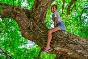 tanned girl sits on a tree