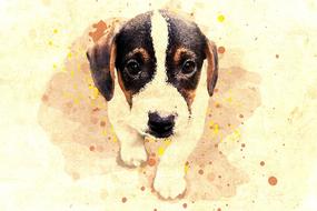 dog pet cute watercolor drawing