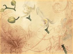 vintage floral background with orchid