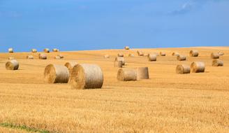 amazingly beautiful Hay Bales Straw