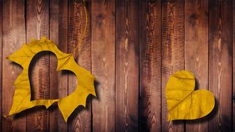 heart leaf love wood