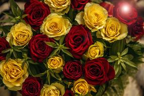 bouquet of yellow and red roses close-up