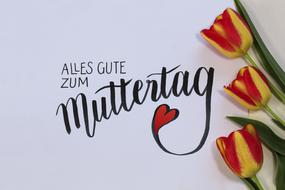MotherS Day Celebration drawing and flowers