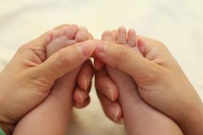 Baby Feet in Hands